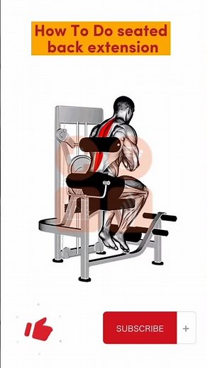 THIS IS GREAT... How to do seated back extension workout.