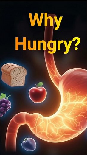Why Do We Feel Hungry? | Inside Your Brain’s Survival Signal
