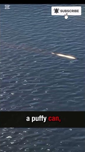 ✈️ “This‘Flying Barrel’ Shocked the World! 😱 Sweden’s Jet That Outsmarted the Cold War!” #technology