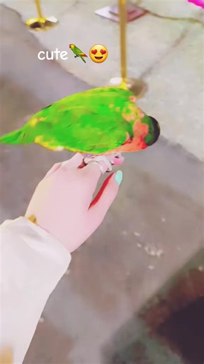 ‏🦜🌹🥰