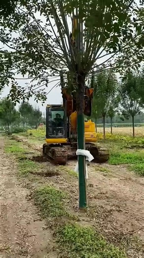 The process of using a sapling excavator- Good tools and machinery make work easy | Electric Hvac Explorer Tips