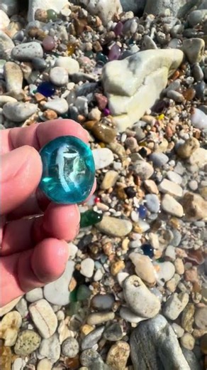 Giant Pearl Scallops vs. Freshwater Snails: Which Makes More Pearls?