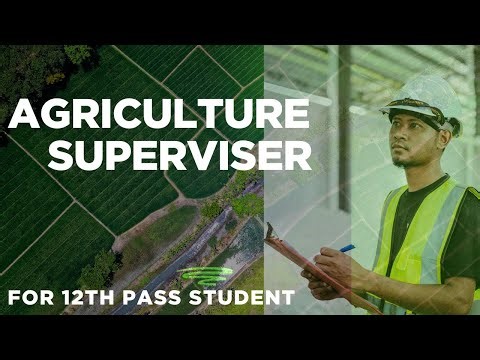 Rajsthan staff Rssb Selction board