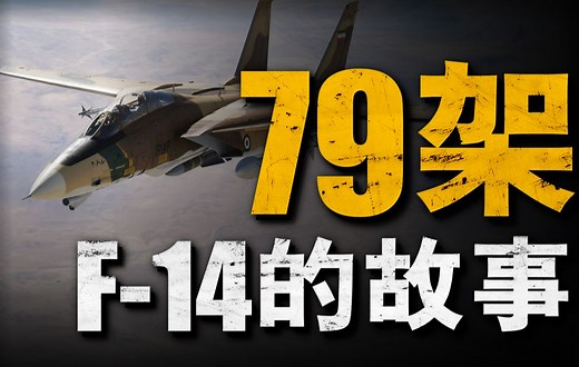 《壮志凌云2》中反派F-14的真实故事!