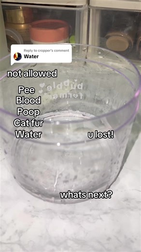 Creative Slime Challenge Reactions and ASMR Fun