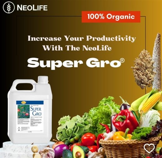🌱 Unlock the Secret to Bigger, Healthier Harvests with Super Gro! 🌾 Tired of poor yields and wasted fertilizer? Meet Super Gro Liquid Fertilizer – your all-in-one farming solution that helps every drop of water and nutrient count! 💧 ✨ Why Farmers Love Super Gro: ✅ Boosts crop yield naturally ✅ Saves water & fertilizer ✅ Works for all crops, poultry & fish farming ✅ Eco-friendly & non-toxic ✅ Promotes faster, healthier growth 🌿 Just a few drops mixed with water can make a HUGE difference in y