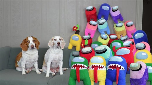 Dogs play Among Us in real life with prank twists