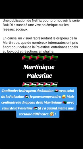 Vive la géographie et ses drapeaux 🤣🤩 #betise #palestine #martinique #clown #info