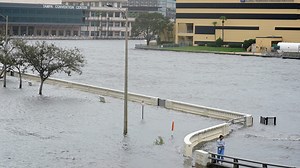 Video: Florida men go viral disrupting CNN meteorologist while paddling on a rubber duck