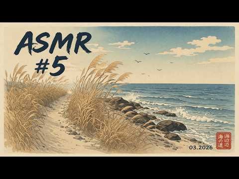 ASMR #5 Silent Coastal Walk 🌊 | Wind, Reeds & Waves | 4K Nature Sounds
