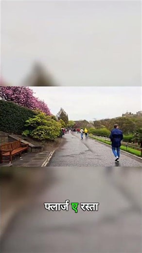 Brave Bear & Edinburgh Castle War Memorials