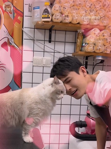 Funny Cat Bath Moments That Will Make You Laugh