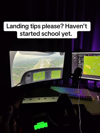 I have Logitech yoke, rudders, and throttle. I don’t know what I’m doing and I need all the help I can get 😬