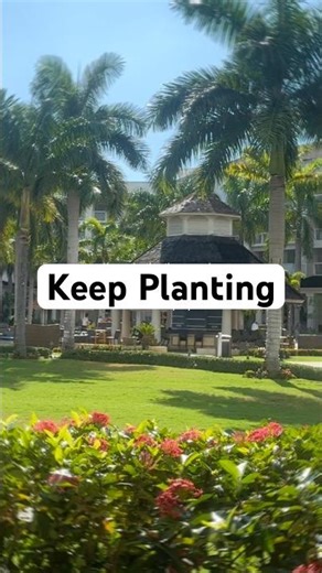 It Feels Like Nothing Is Working… But Don’t Give Up Yet #motivation #growth