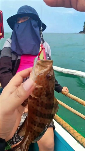 This Luminous Lure is Literally a CHEAT CODE for Grouper! 🟢✨