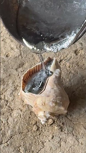 Casting Aluminum DIY | Lost Shell Process #shorts #viralvideo #reels #restoration