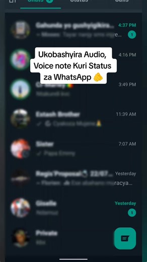 How to Post Voice Notes on WhatsApp Status Easily