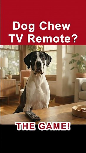 Why Does My Dog Chew The TV Remote? 📺 | Does Your Dog Chew? 🐕 | How To Stop Destructive Chewing