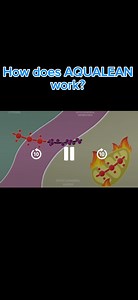 How does Aqualean work?