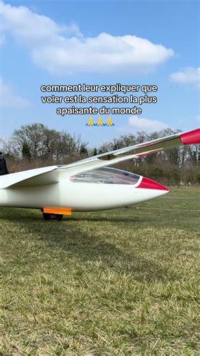 C’est vrai ça 🤓🤓🤓#aviation #trend #planeur #pilote #newcreator