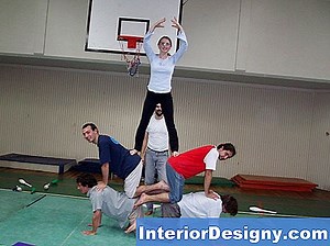 Jardin: Différences Entre Callistemon Rigidus Et Citrinus - 2026 | Fr.Interior-Designy.com