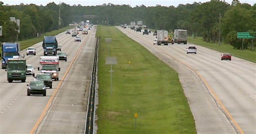 Family stuck for hours in I-95 backup after man killed trying to save turtle