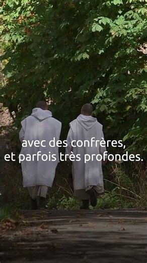 La récréation chez les Chartreux 🥾🙏 #divinebox #chartreux