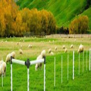 PVC Fencing Products | Post & Rail Plastic Fencing Supplier | Trellis Posts