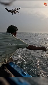 12K views · 151 reactions | Catching King Fish Using Ribbonfish as Bait #fishing #fishingvideos #fishingtime | Neerulagam | Facebook