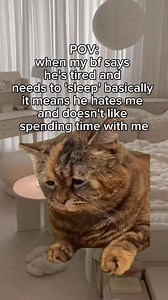 961K views · 13K reactions | 10 more mins babe c’mon  #gf #bf #relationship #cat #cats #meme #relatable | Relatable Cute Cats | Facebook