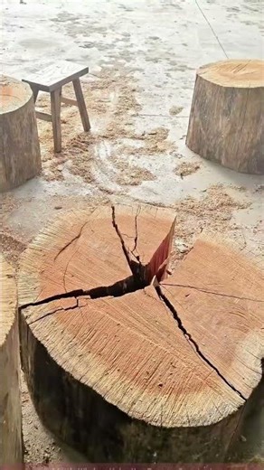 Hand-splitting wood live shot: the moment of splitting large wooden stakes with traditional tools