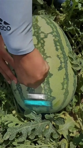 155K views · 5K reactions | Claim it ❤️ . . . . . The earliest...