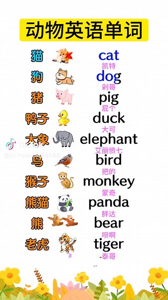 Learn Basic English Daily: Simple Tips for Beginners