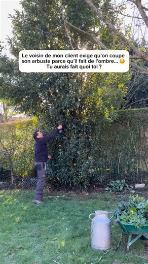 Steve Le Jardinier 🌿 | Un voisin peut-il exiger qu’on coupe un arbuste juste parce qu’il fait de l’ombre ? 😳🌿 Aujourd’hui chantier un peu particulier… L’arbuste... | Instagram
