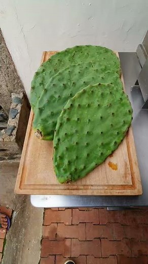 How to cook Cactus (nopales) on a BBQ