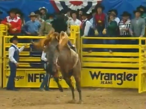 ⚠️ Ryan Mapston & Roany Wiggles ⚠️ ☆ PRCA National Finals Rodeo 1996 ☆ Colaborador: Alejandro Mauricio Charolais. #oldschoolrodeoforever #galeriaamigosdelrodeo #amigosdelrodeozac #rodeo #champion #cowboy #saddlebronc #longlivecowboys #prca #prcarodeo #prcaprorodeo #WranglerNFR #legend | Amigos Del Rodeo