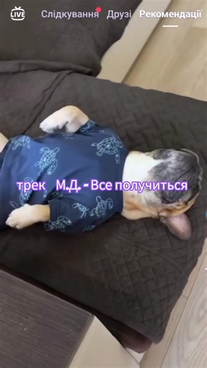 Трек на ютуб мьюзік та спотіфай, аплл мюзік. #funny #doomermusic #весна2026 #spotify