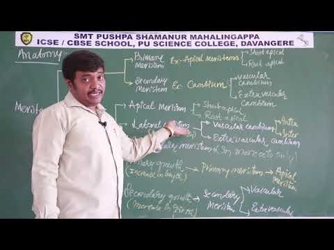 Top-Rated Residential PU Science College in Davanagere 02 Anatomy of Flowering Plants