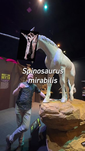 Discover the Latest Discovery in the Fossil Record