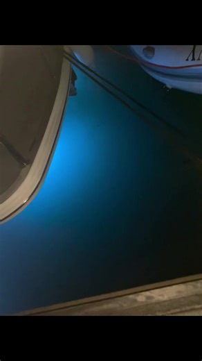 Fishing for Jewfish: A Sunny Day Adventure