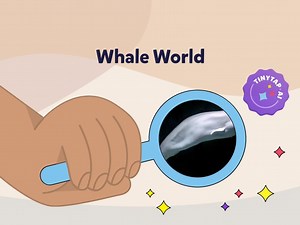 Whale World