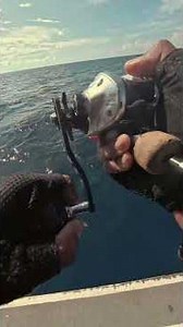 ROMPIN Fishing AMIGOS April 26 | Tenggiri |Barracuda | Red snapper | Grouper |