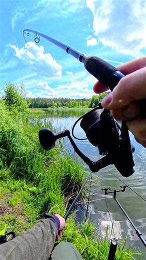 Beautiful fish, nice weather, you can sit all day