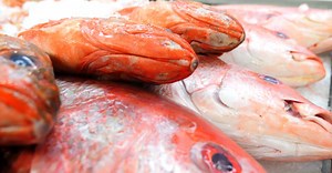 Video by Kindel Media on Pexels