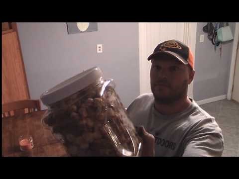 Homemade raccoon bait for dog proof traps “dp’s”