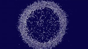 2.9K views · 150 reactions | Alan Turing’s model of organismal development suggested that an animals’ features, including spots, stripes and skeletal structure, are shaped by chemical gradients within an embryo. New research paints a more complicated picture. https://www.quantamagazine.org/embryo-cells-set-patterns-for-growth-by-pushing-and-pulling-20220712/ | Quanta Magazine | Facebook