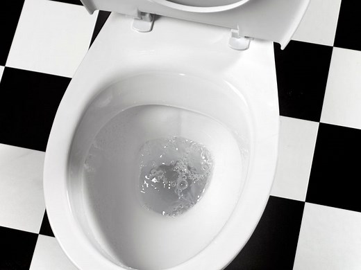 Toilet Bowl Not Filling with Water after Flush: Fixes -