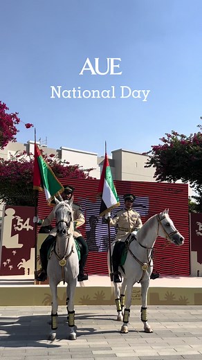 AUE National Day🇦🇪 | #aue #students #fyp #explore #nationaldayuae🇦🇪
