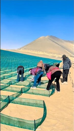 Why Is China Laying Nets in the Desert? The Real Reason Will Shock You! #shorts