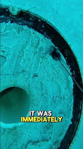 This Simple Dye Test Reveals a Hidden Pool Leak.